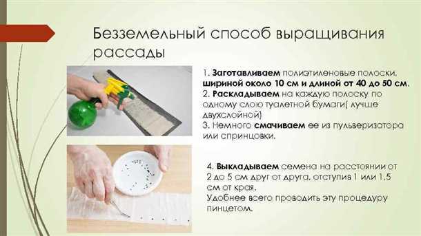 Преимущества безземельного способа выращивания помидоров: