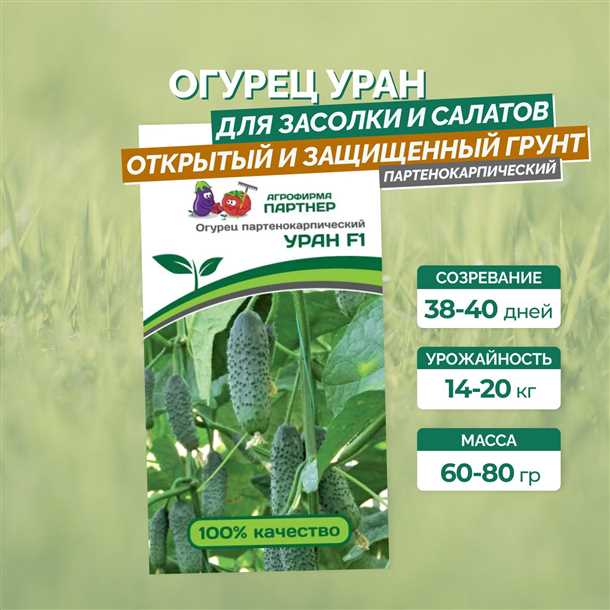 4. Поддержка растений