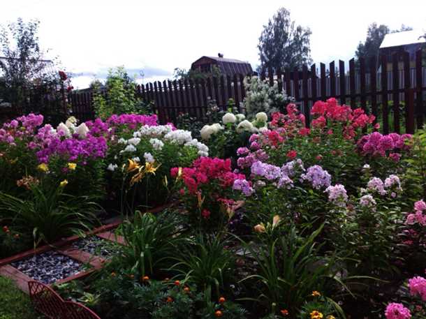 Посев семян