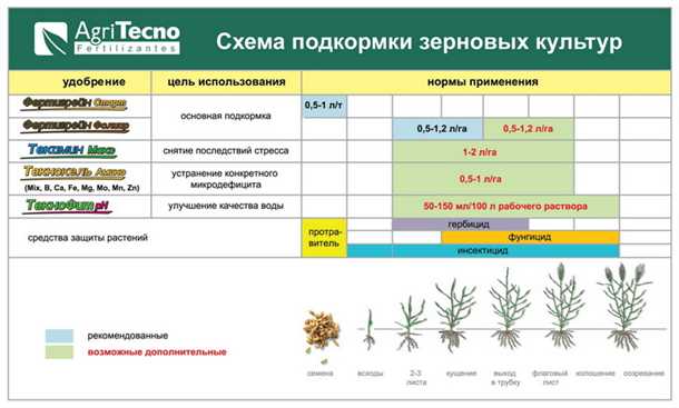 Как восстановить силы растения после цветения