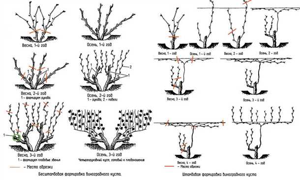 Подготовка к обрезке