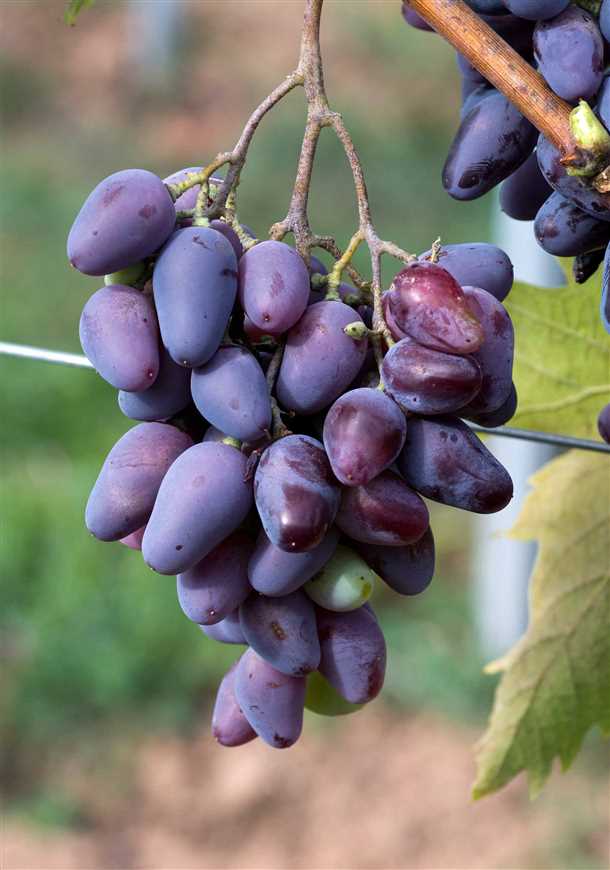 Схема посадки