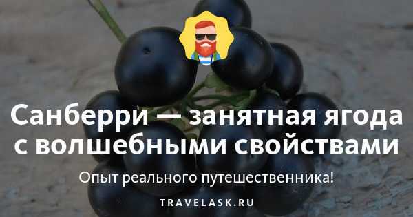 Целебные рецепты: приготовление и фото