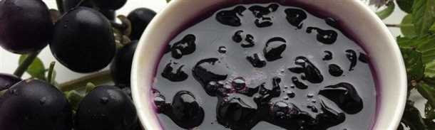 Десертное пюре из ягод санберри