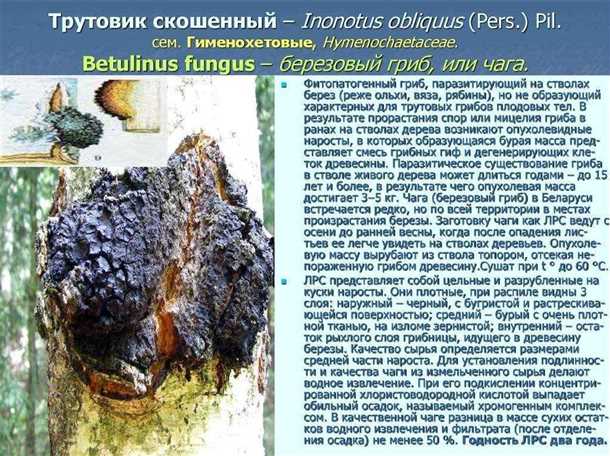 3. Снижение воспаления: