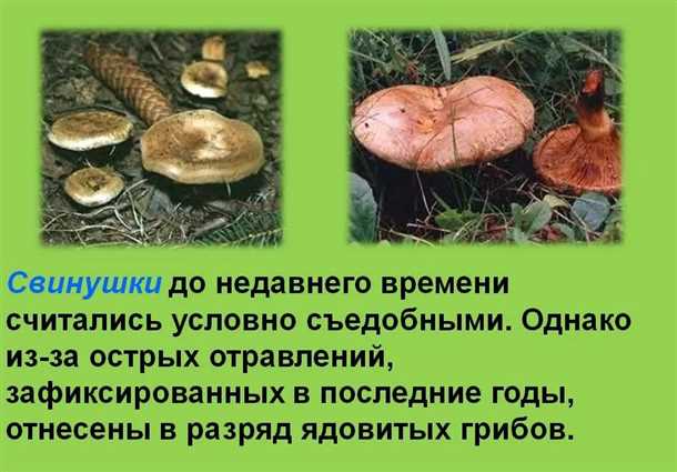 Употребление в пищу