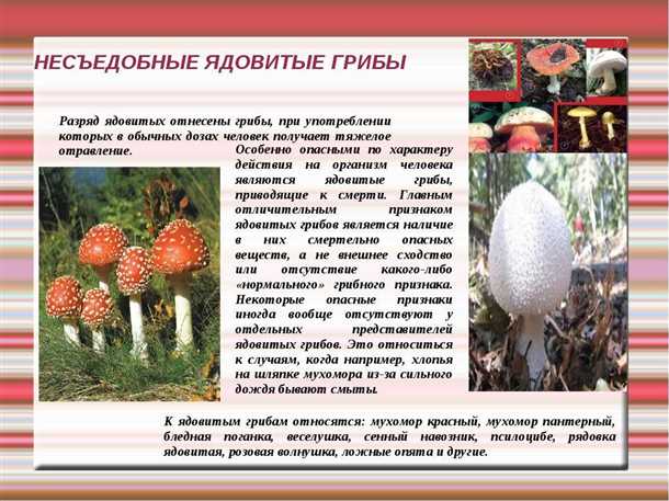 Где и когда собирать