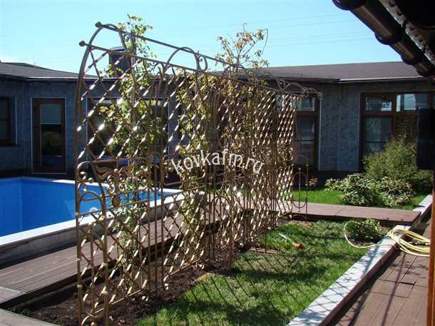 Преимущества перголы для винограда: