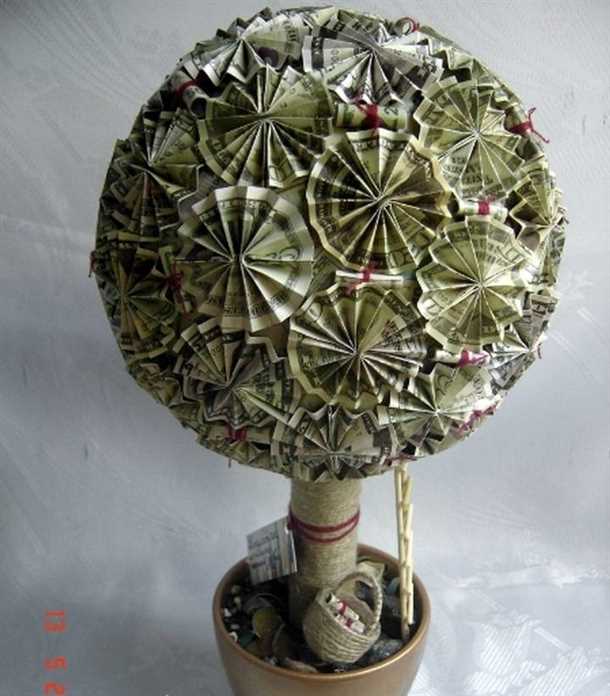 Денежное дерево (видео)