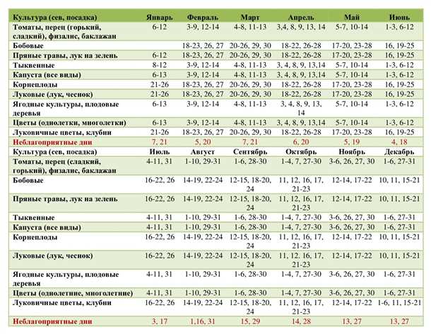 Овощи и зелень