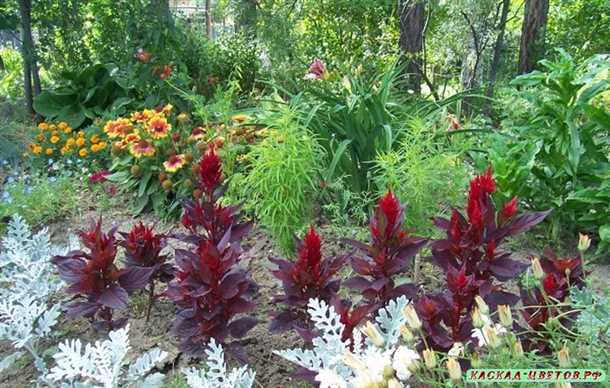 Фотогалерея