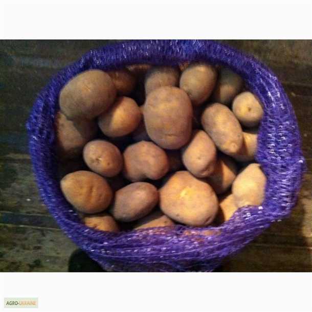 Подготовка к посадке